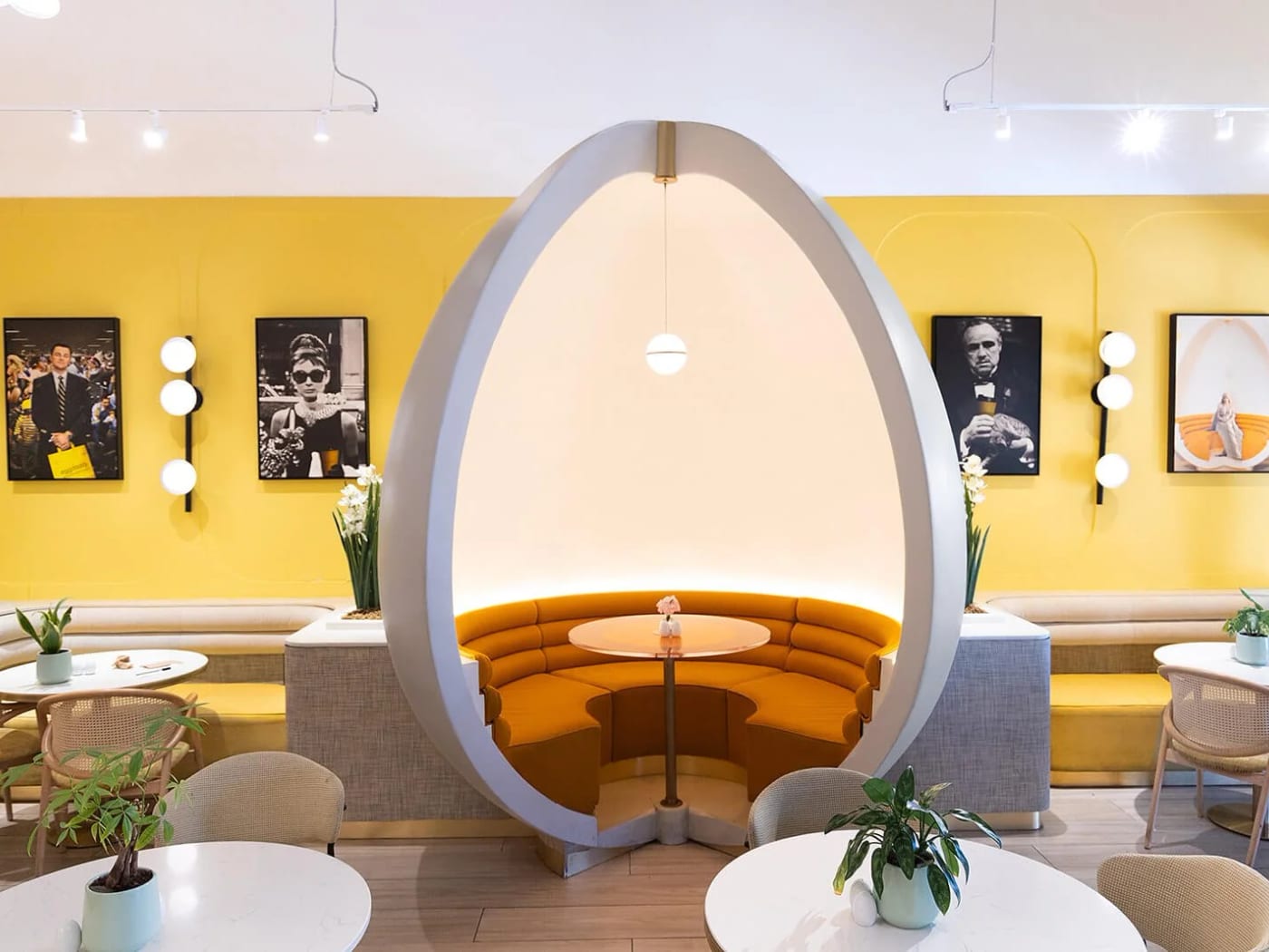 Egg Daddy — Restaurant build-out by Segura Construction Group